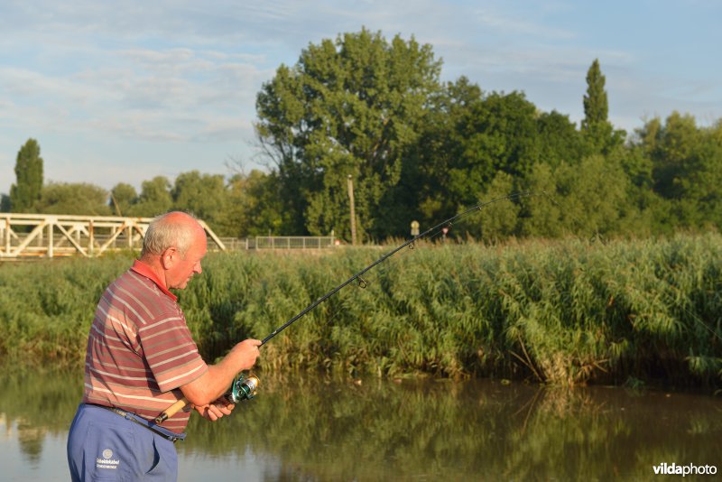 Vissers langs de Durme