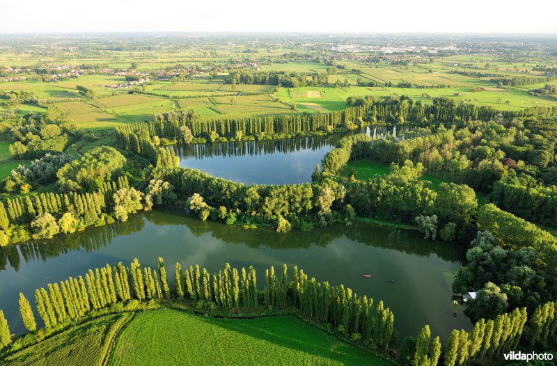 Hof te Rijen