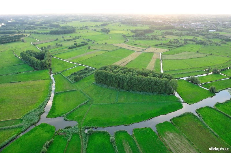 Scherenmeersen
