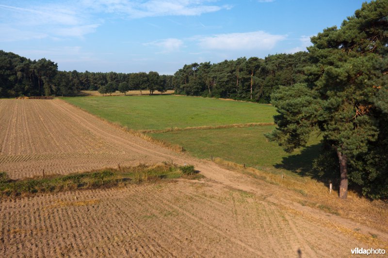 Akkers tussen de bossen