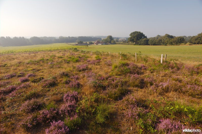 Lappendeken van natuur en landbouw