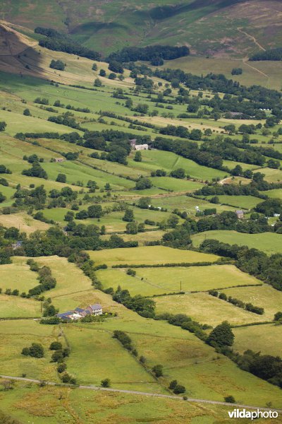 Houtkanten in de heuvels van het Peak District