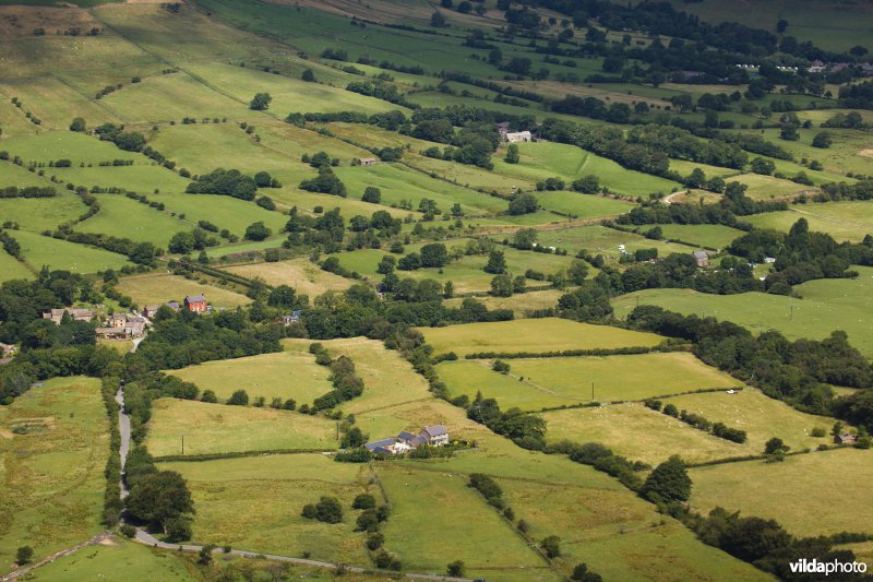 Houtkanten in de heuvels van het Peak District