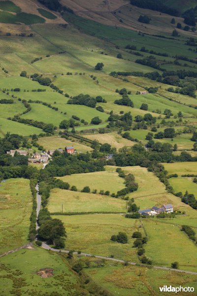 Houtkanten in de heuvels van het Peak District