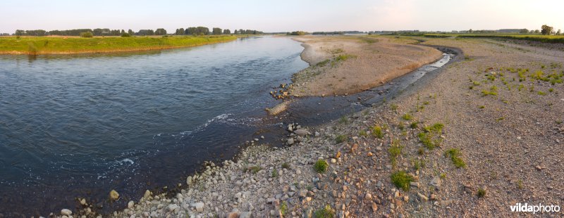 Nieuwe natuur langs de Maas