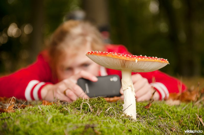 Meisje fotografeert vliegenzwam