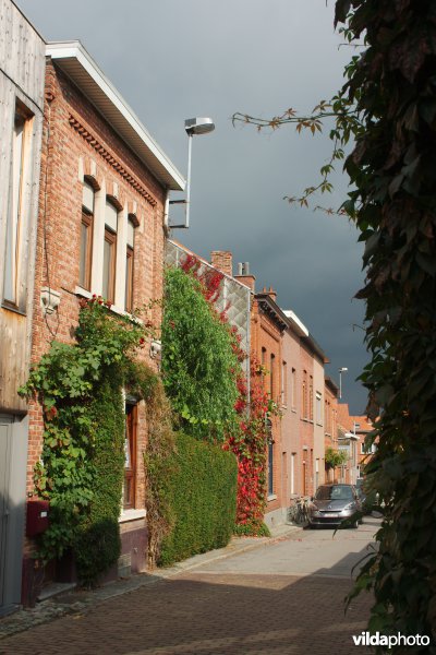 Gevelgroen in de stad