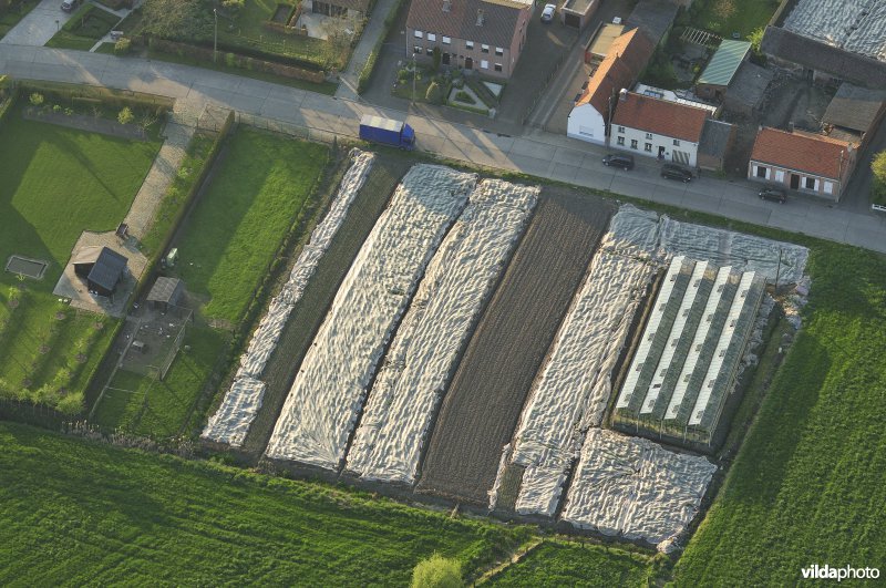 Tuinbouw vanuit de lucht