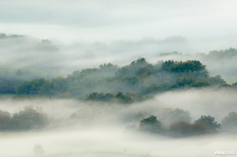 Ochtendnevel in dal met bos en weilanden, Morvan, Frankrijk