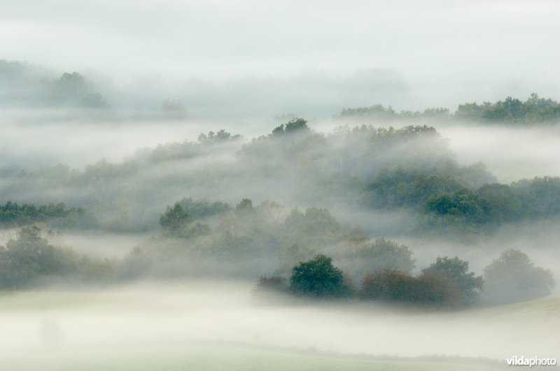 Ochtendnevel in dal met bos en weilanden, Morvan, Frankrijk