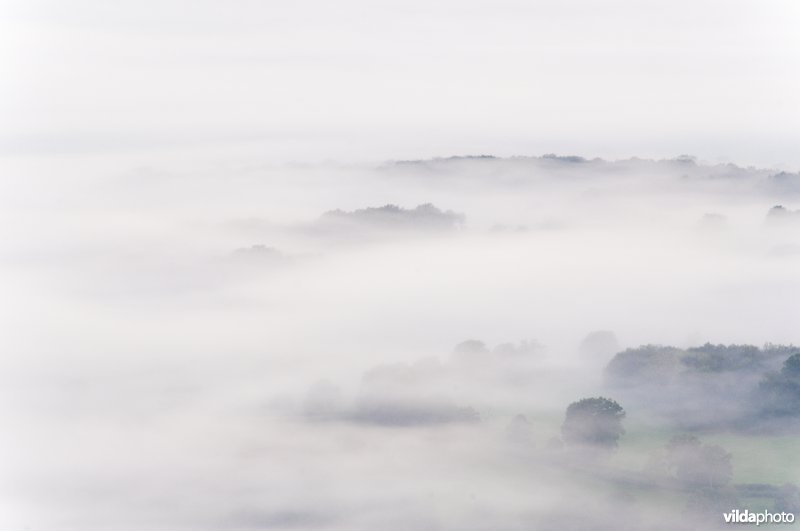 Ochtendnevel in dal met bos en weilanden, Morvan, Frankrijk