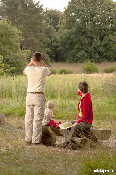 Wandelen in de Meinweg