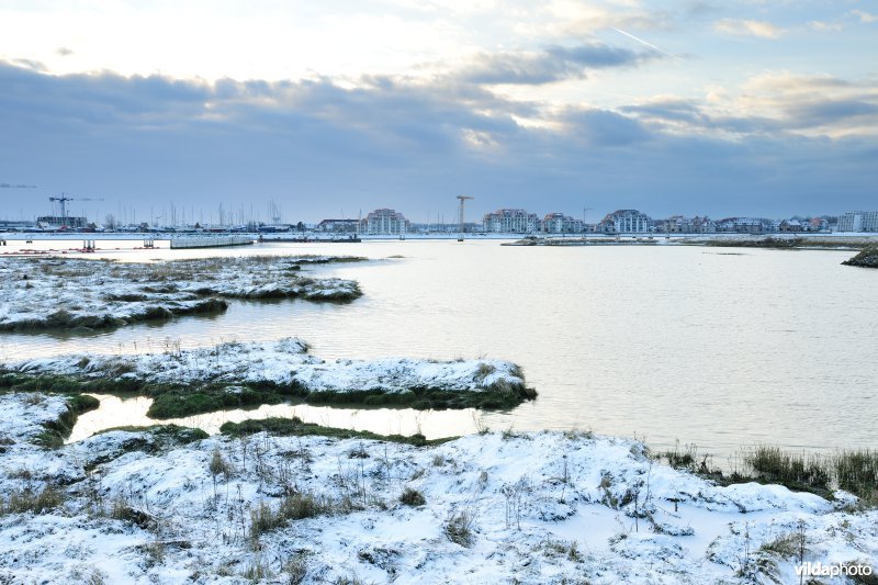 De IJzermonding in de winter