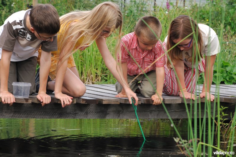 Beestjes zoeken in het water