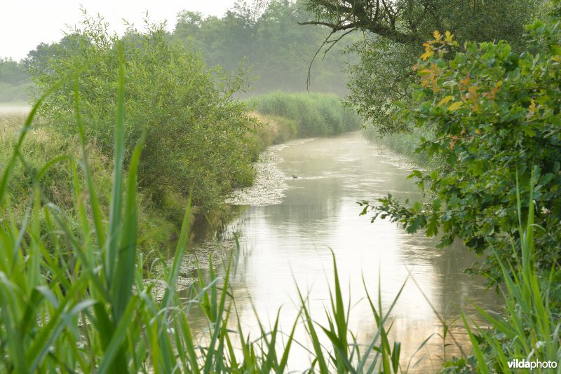 De Dommel in het Hageven