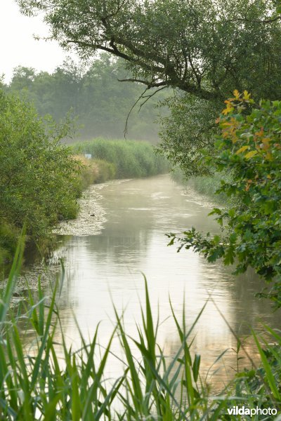 De Dommel in het Hageven