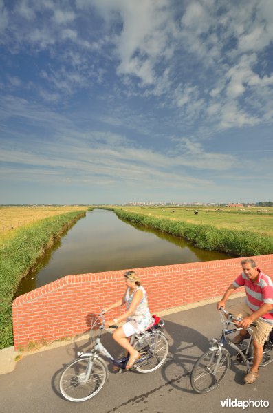 Fietsers in de Uitkerkse Polders