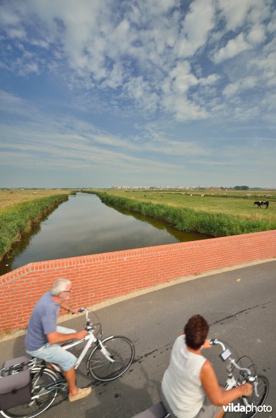 Fietsers in de Uitkerkse Polders