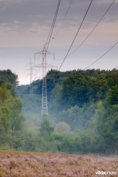 Een heidecorridor onder een hoogspanningslijn