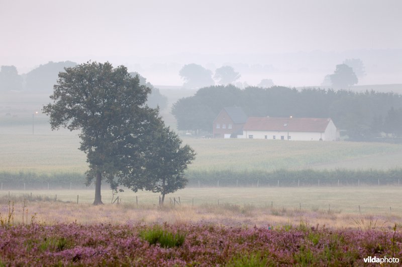 Boerderij in de vallei van de Zwarte beek