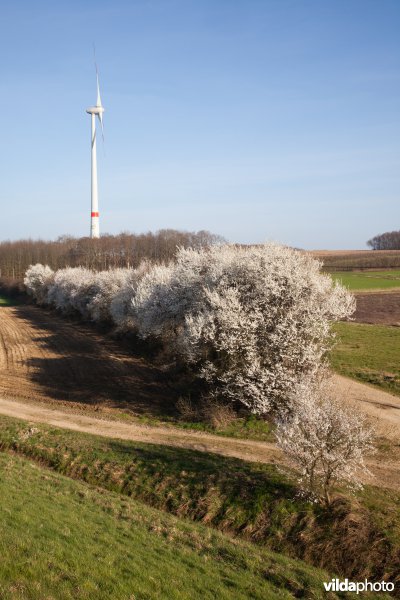 Windturbine