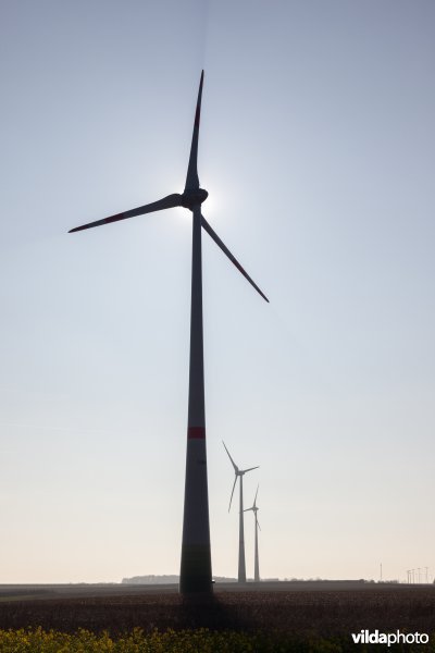 Windturbine