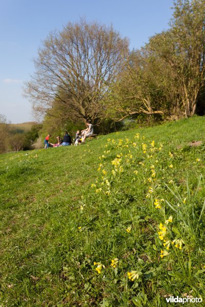 Wandelaars in een natuurgebied