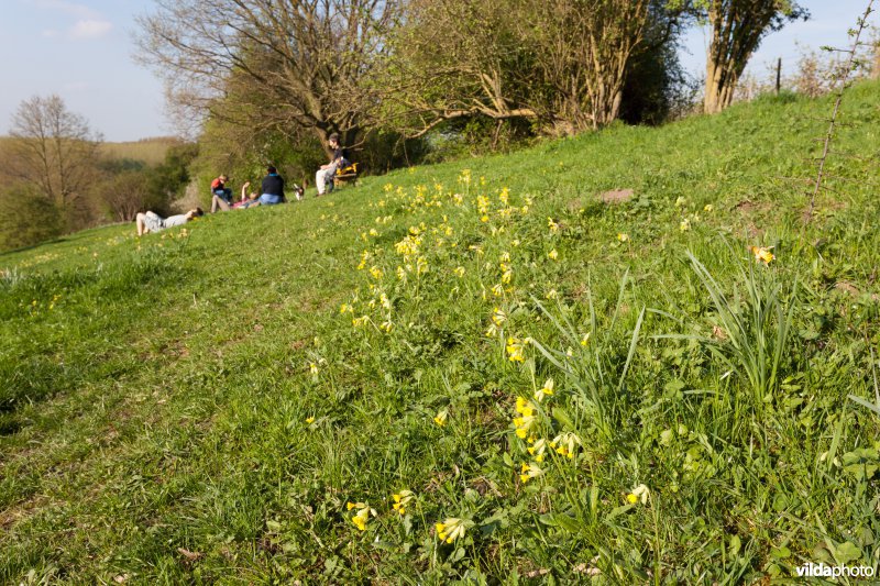 Wandelaars in een natuurgebied