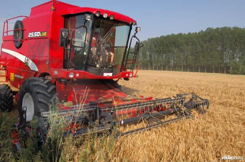 Pikdorser aan het werk