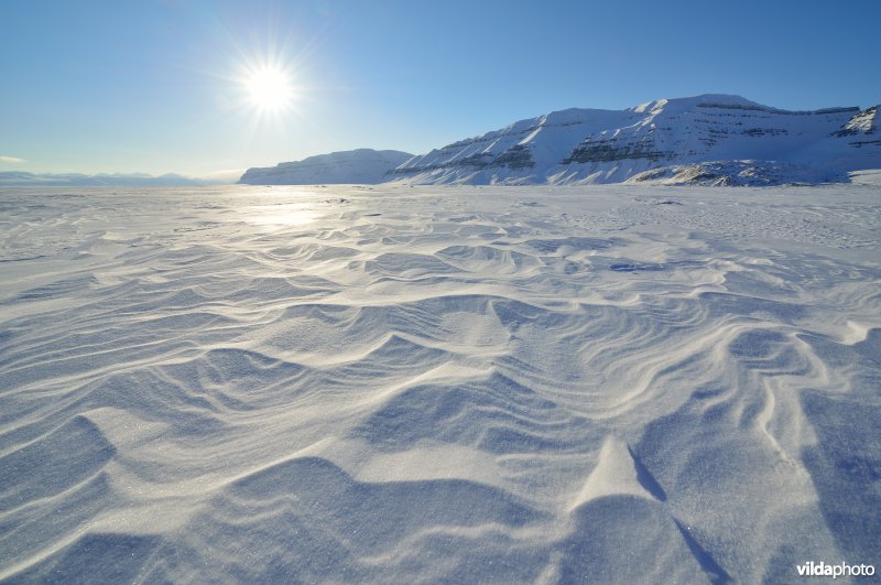 IJsvlakte in Spitsbergen