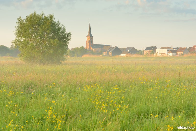 Paardeweide