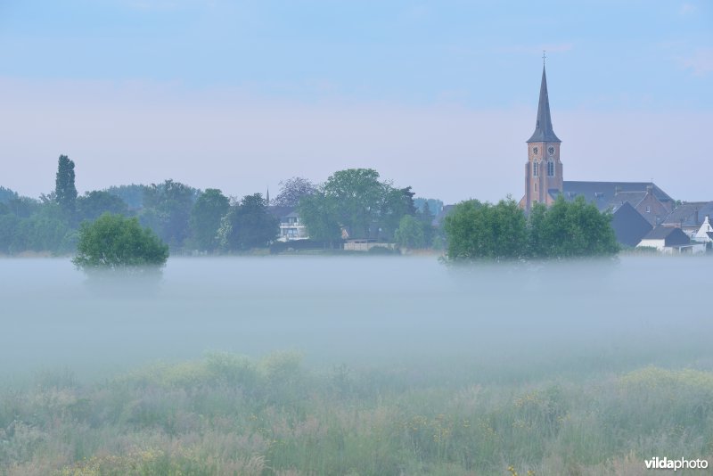 Paardeweide