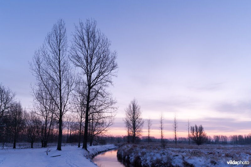 Sneeuw in de Demerbroeken