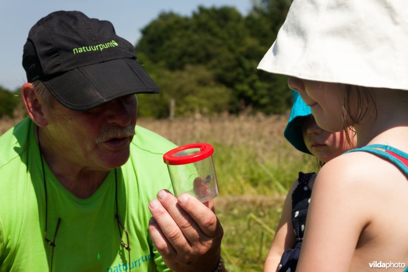 Natuurpuntmedewerker geeft uitleg over vlinders