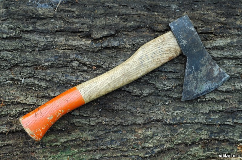 Boswerktuig: een handbijl