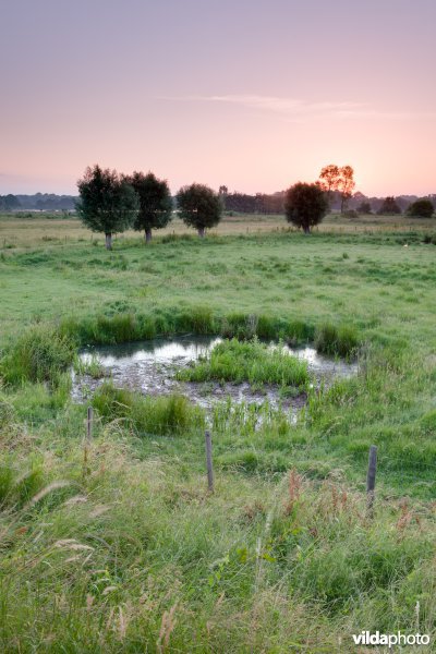 Bomkrater in het Mechels broek