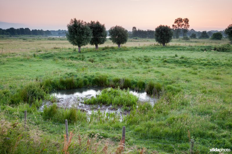 Bomkrater in het Mechels broek