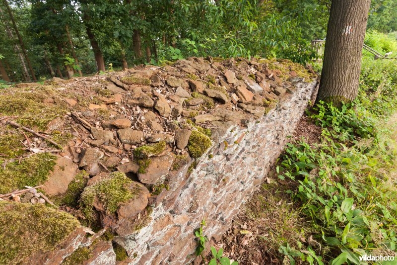 Wijngaardmuur