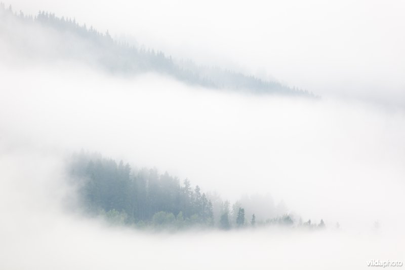 Lage wolken in de bergen
