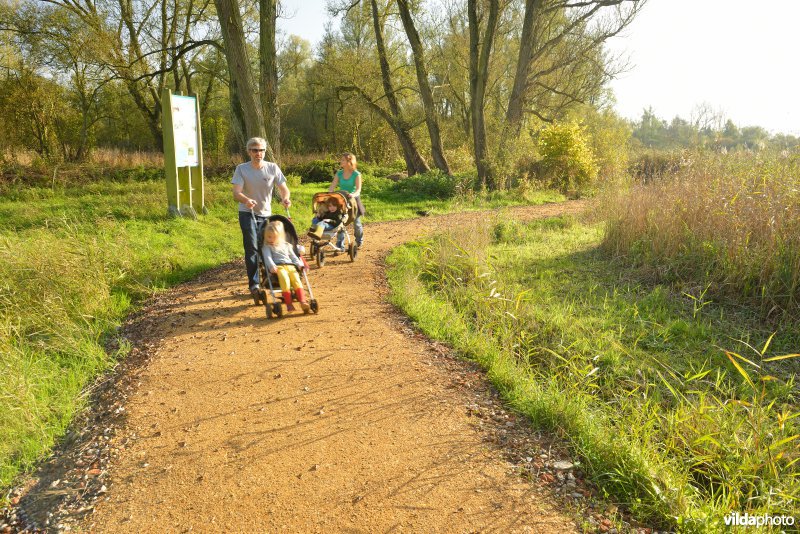 Hobokense polder