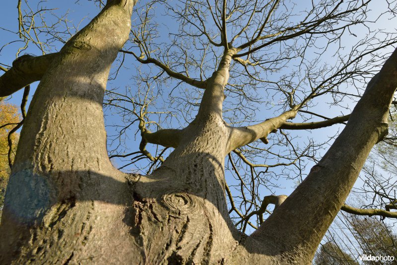 Natuurreservaat De Bourgoyen