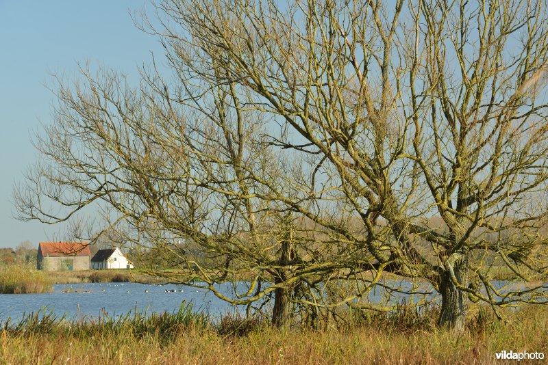 Natuurreservaat De Bourgoyen