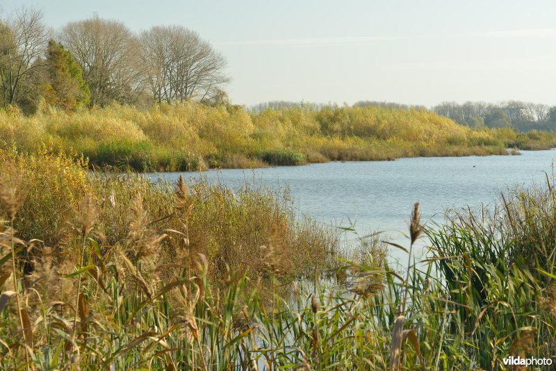 Natuurreservaat De Bourgoyen