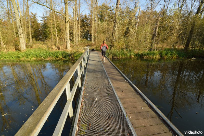 Natuurreservaat De Bourgoyen