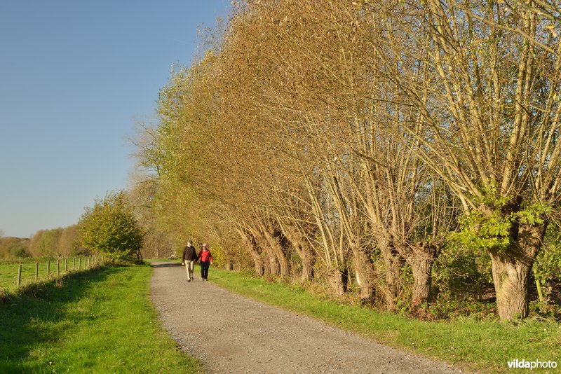 Natuurreservaat De Bourgoyen