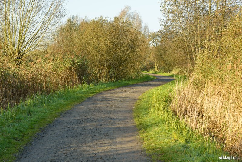 Natuurreservaat De Bourgoyen