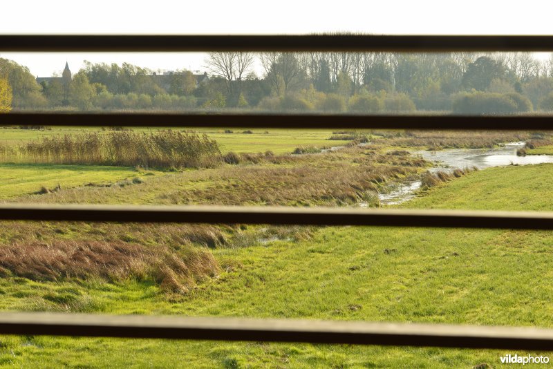 Natuurreservaat De Bourgoyen