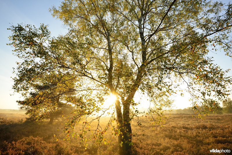 Natuurreservaat De Maten