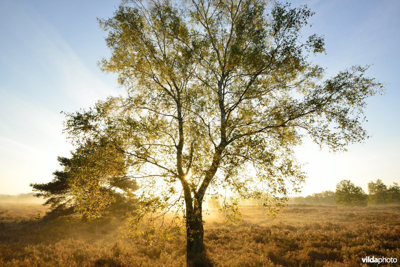 Natuurreservaat De Maten