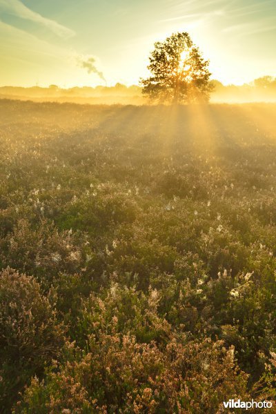 Natuurreservaat De Maten